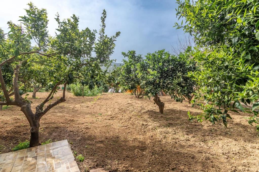 Citrea Stylish House With Garden Near * Iraklio